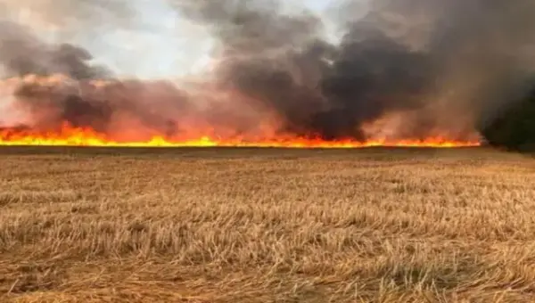 Algérie: La Protection civile annonce un contrôle total des feux de forêt