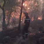 incendies de Bejaia