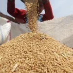 producteurs de céréales