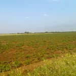 propriétés agricoles