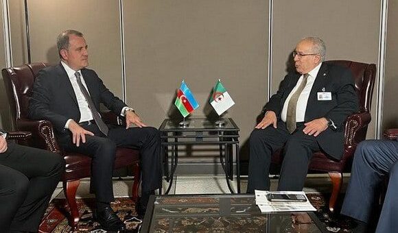 Sommet arabe : Alger invite le président du Mouvement des Non-alignés