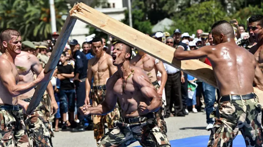 armée algérienne