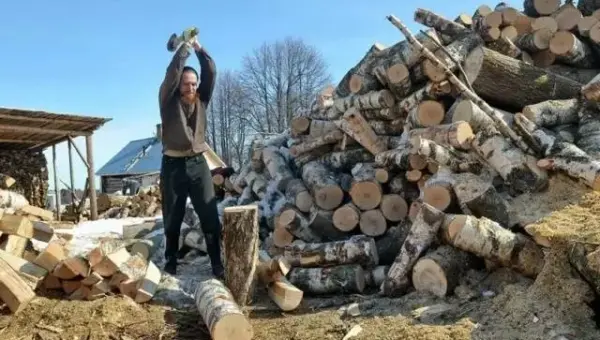 A cause du gaz algérien, une terrible hausse du prix du bois de chauffage en Espagne