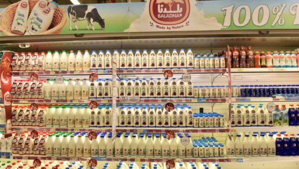 Production de lait : le groupe qatari Baladna veut investir en Algérie