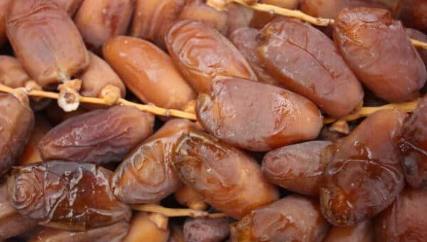 Dattes : 54.000 tonnes exportées vers 64 en neuf mois