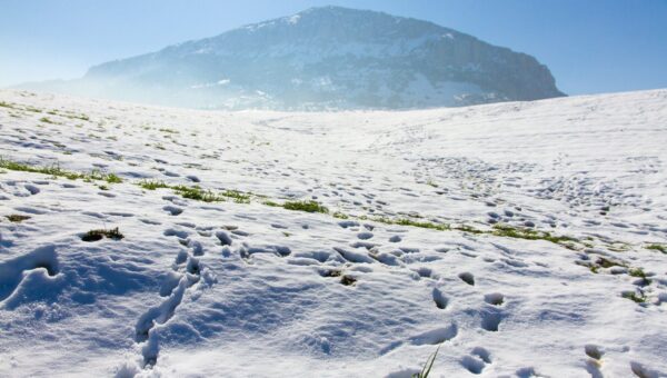 Météo : la neige persiste dans 24 wilayas