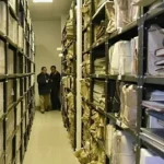 France fichiers de mémoire Algérie