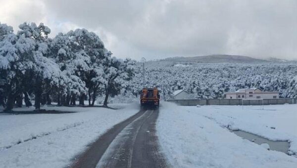 Neige et vague de froid en Algérie : les wilayas les plus touchées