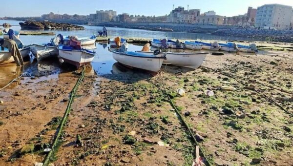 Le recul du niveau de la mer en Algérie : un phénomène naturel sans lien avec le séisme en Turquie