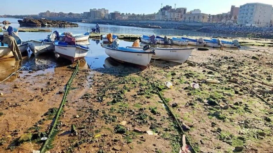 Recul du niveau de la mer en Algérie