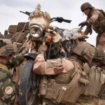 armée française en Afrique