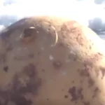 boule de métal inconnue