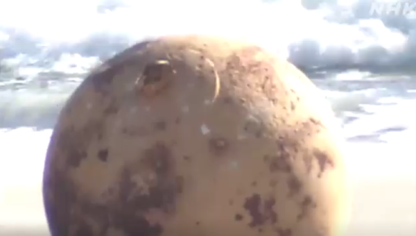 Alerte au Japon : découverte d&rsquo;une mystérieuse boule de métal sur une plage de Shizuoka