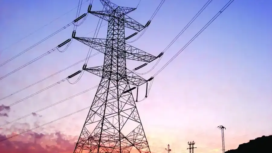 L'Algérie et le Niger renforcent leur collaboration en matière d'électricité