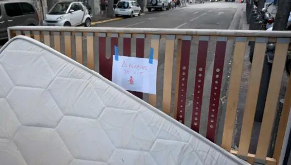 Les punaises de lit en France : une infestation généralisée