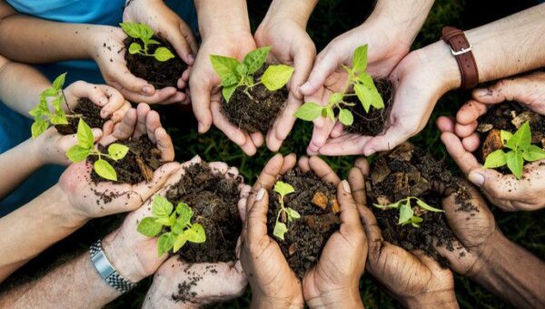 Sonatrach s’engage dans un projet écologique majeur : 1 milliard de dollars pour la plantation de 420 millions d’arbres