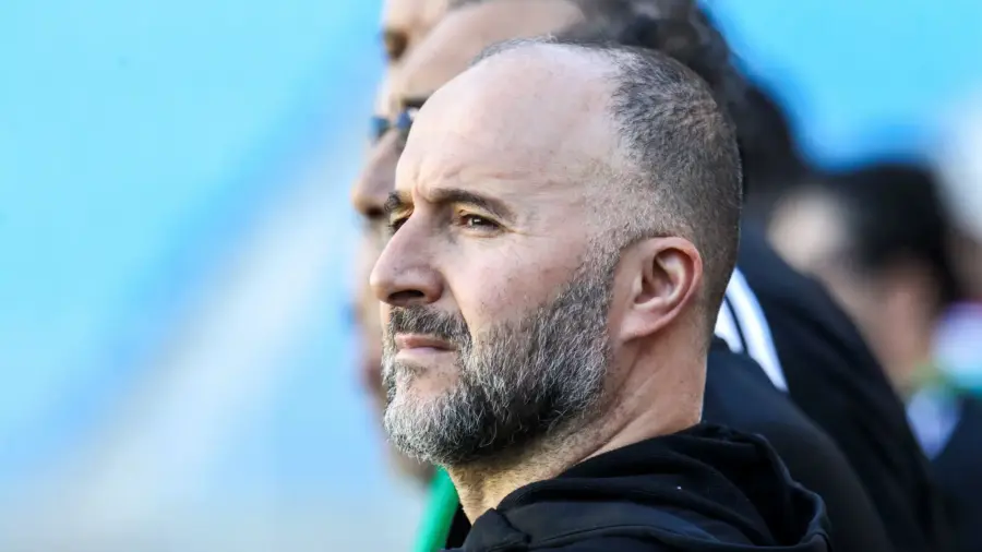 Belmadi, Architecte du Succès : Échecs et Stratégie à l'Approche de la CAN 2024