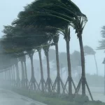 Bulletin spécial : Pluies et vents sur plusieurs wilayas d'Algérie