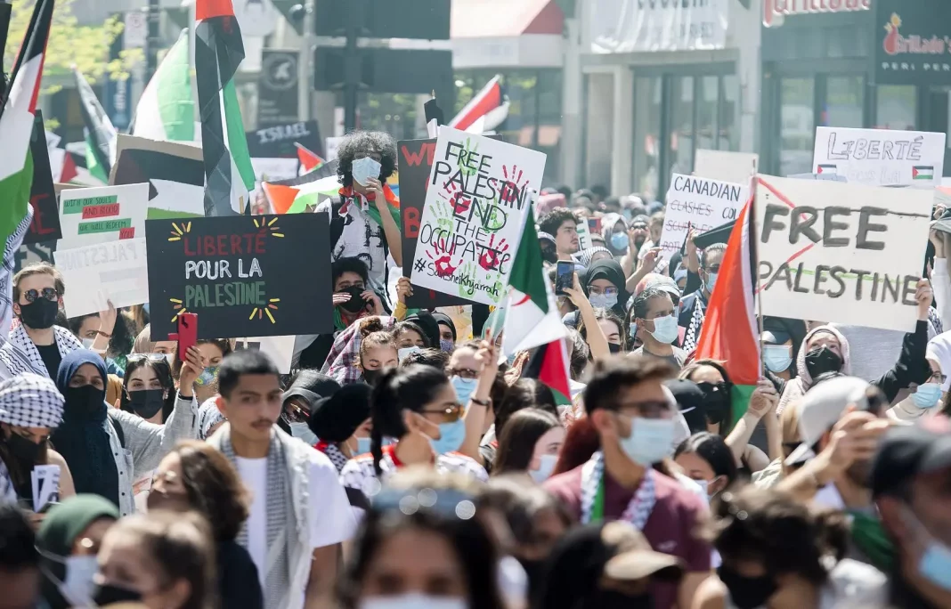 Censure des Films sur la Palestine : La Solidarité s'Organise à Montréal