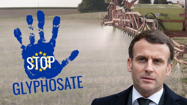 Glyphosate : Les ONG Contre-Attaquent en Saisissant la Justice de l’UE