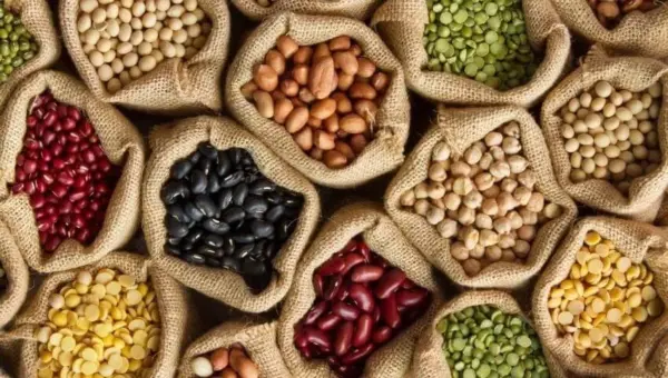 Importation Massive de Légumineuses : Une Stratégie du Ministère de l&rsquo;Agriculture pour Stabiliser le Marché