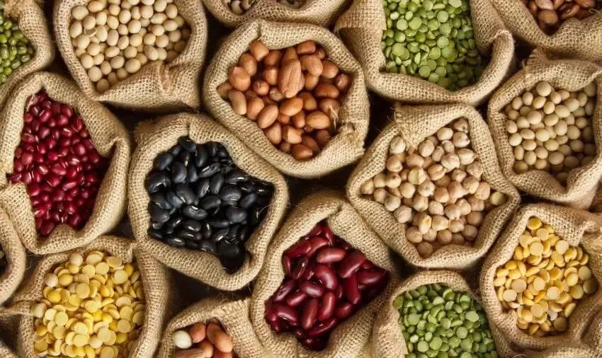 Importation Massive de Légumineuses : Une Stratégie du Ministère de l'Agriculture pour Stabiliser le Marché
