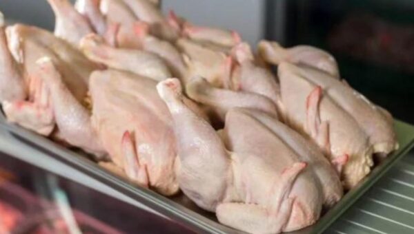 L’Algérie ouvre ses frontières à l’importation massive de viande blanche pour contrer la flambée des prix