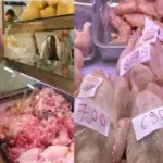 Les Enjeux Cachés derrière la Flambée des Prix du Poulet en Algérie