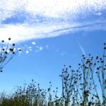 Météo en Algérie ce 28 novembre 2023 : Quel Temps Nous Réservent les Cieux ?