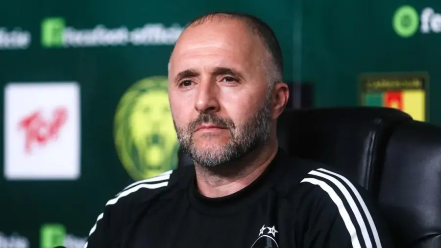 Problèmes de Riche pour Belmadi : Chaibi Analyse les Enjeux à Venir