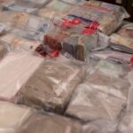Saisies Massives de Drogues : Un Coup Dur pour les Trafiquants