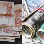 Taux de Change en Algérie : L'Euro en Flèche, le Marché Noir en Effervescence