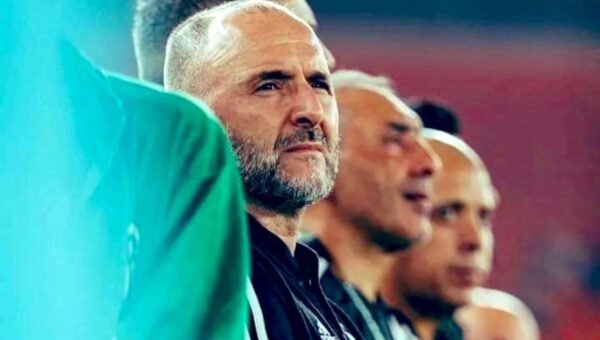 À la recherche du nouveau maître des Verts : La commission des sept en quête du successeur de Belmadi