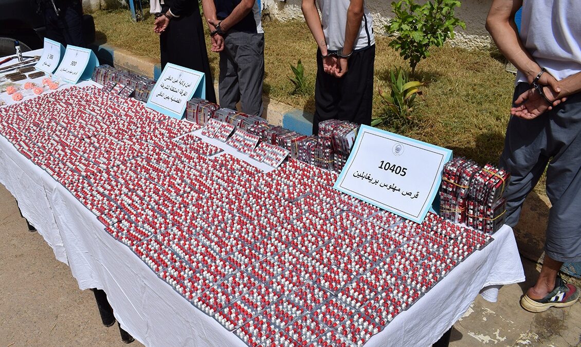 Illustration saisie psychotropes Prégabaline cachés dans mouton par police Alger Pêcherie