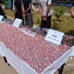 Illustration saisie psychotropes Prégabaline cachés dans mouton par police Alger Pêcherie