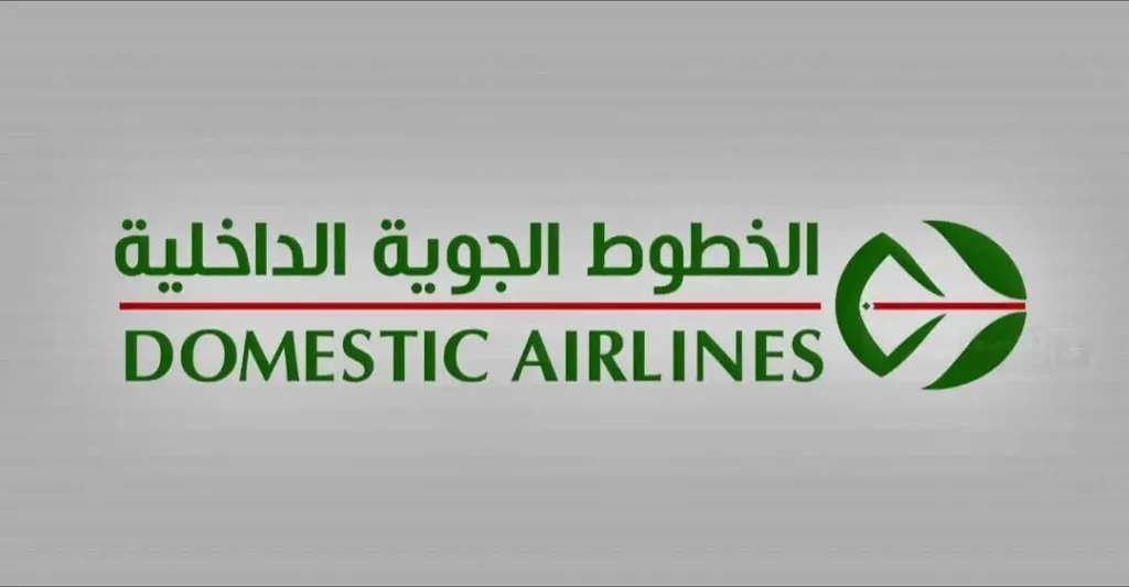 Avion Domestic Airlines filiale Air Algérie sur le tarmac