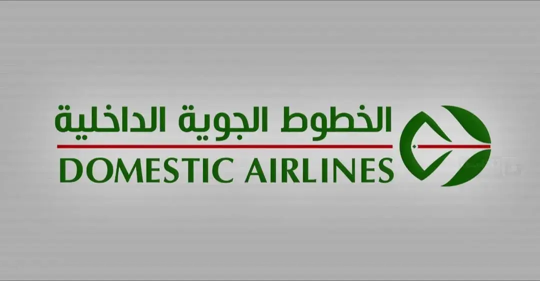 Avion Domestic Airlines filiale Air Algérie sur le tarmac
