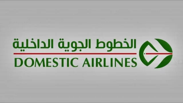 Avion Domestic Airlines filiale Air Algérie sur le tarmac